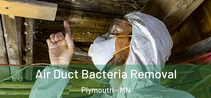  Air Duct Bacteria Removal Plymouth - MN