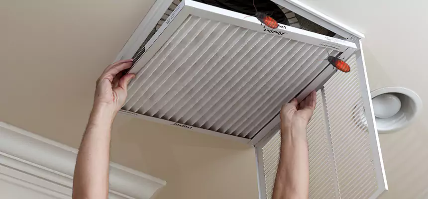Preventive Cockroach-Proofing for Ducts in Plymouth