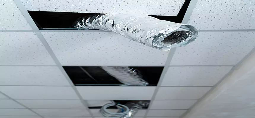 Our Air Duct Pet Hair Removal Services in Plymouth, MN