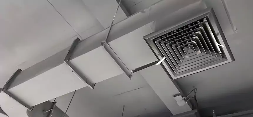 Restorative Allergy Relief Vent Cleaning – Coil, Blower & Housing Detail in Plymouth