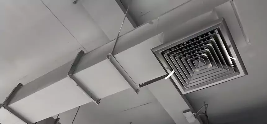 Our Rodent Droppings In Vents Services in Plymouth, MN