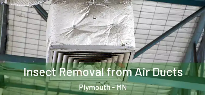  Insect Removal from Air Ducts Plymouth - MN