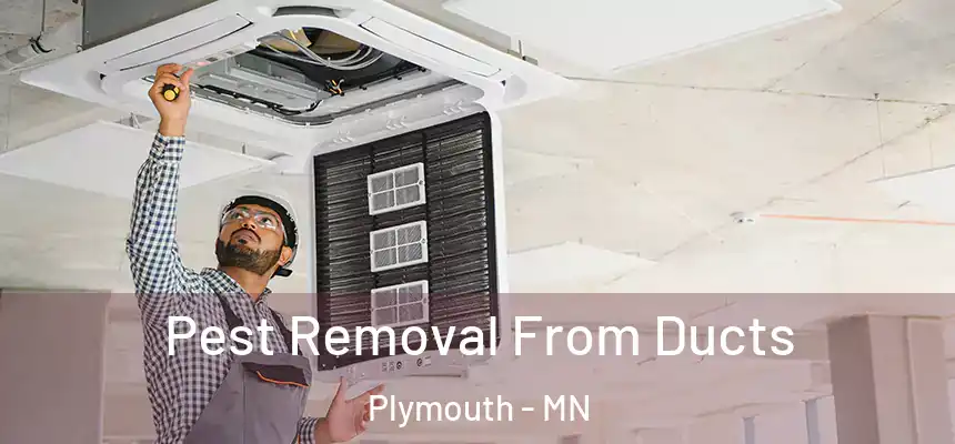 Pest Removal From Ducts Plymouth - MN