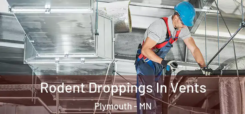 Rodent Droppings In Vents Plymouth - MN