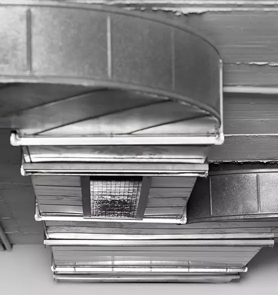 Professional Air Duct Pet Hair Removal in Plymouth, MN