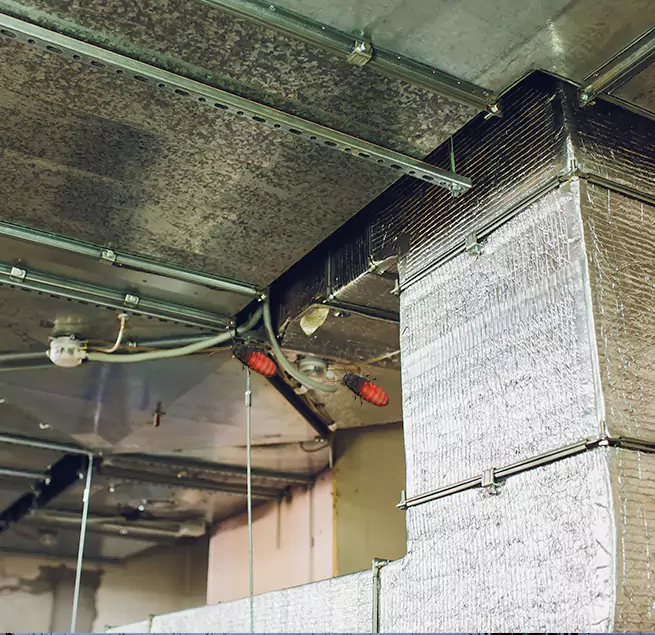 Why Homeowners & Businesses Trust Us in Plymouth, MN?