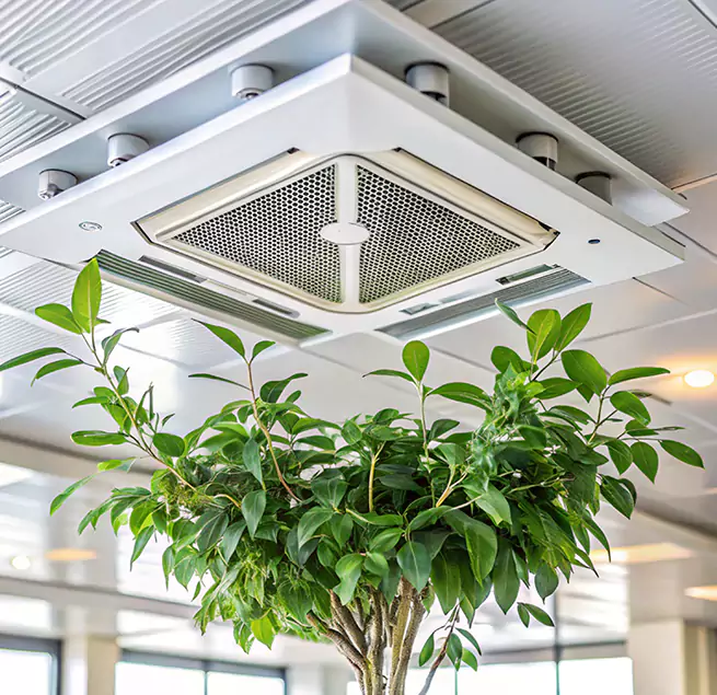 Why Homeowners & Businesses Trust Us in Plymouth, MN?